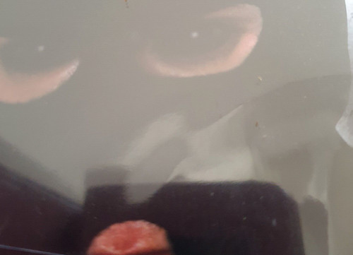 Bild 1 von 1