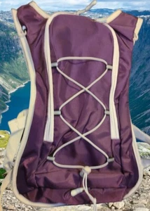 Hydration Backpack With 2L Bladder Great For Hiking Color: Purple - Picture 1 of 24