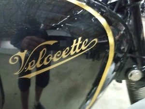 Velocette script logo 3-3/4 x 1-1/8" tank mudguard fender gold on black sticker - Picture 1 of 4