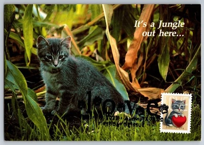 #5745 Love Kitten and Heart FDC Maxi Card - Image 1 of 2