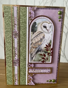 Handmade A6 Highland Wildlife Themed Owl-Adventure Awaits Graduation Card - Picture 1 of 5