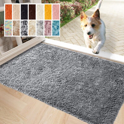 Non Slip Indoor Door Mats Small Large Door Mat Washable Rugs Kitchen Floor Mat - Image 1 of 4