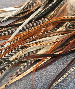 12 Long Feathers for Hair Extensions DYI Clips 6" to 10" Barred and Solid Fluff - Picture 1 of 9
