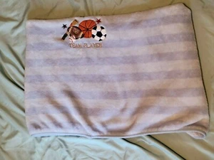CIRCO SPORTS BALLS Team Player Plush Crib Baby Blanket EUC - Picture 1 of 3