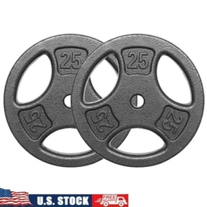 Cast Iron Standard Weight Plate Set 2x25LB 1-inch Holes Fit Standard Sized Bar - Picture 1 of 8