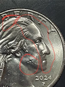 2024Zitkala-sa Double Die Obverse Struckthrough Object Flower In Head Washington - Picture 1 of 5