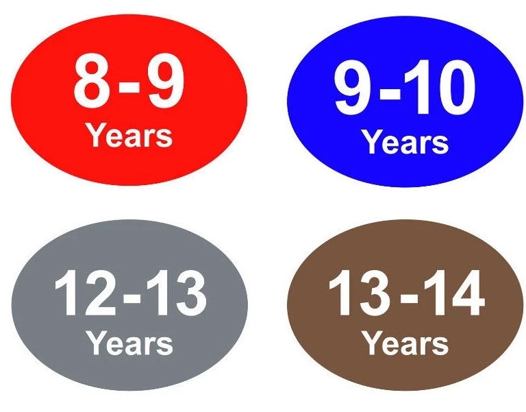 Pegatinas de colores para ropa de bebé y niños - Etiquetas adhesivas - 12 - 13 años Foto 1 de 1