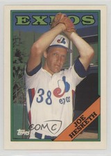 1988 Topps Collector's Edition (Tiffany) Joe Hesketh #371