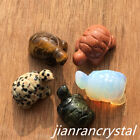 5 Stck. Mix Natürlicher Quarzkristall Mini Schildkröte Schädel geschnitzt Kristall Schädelheilung
