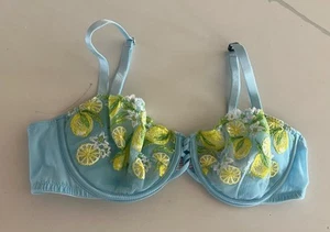 Victoria’s Secret DREAM ANGELS Unlined Bra Lemons Embroidery Blue Mesh 36C NWT - Picture 1 of 3