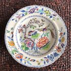 Davenport Flying Bird soup plate c1815 hand painted