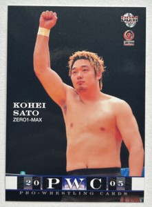 2005 BBM Pro Wrestling Kohei Sato #142