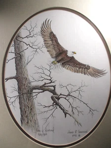 Firmado James P Townsend Doble Ovalado Mate Impresión - Eagle Flying - 1992 - Imagen 1 de 4