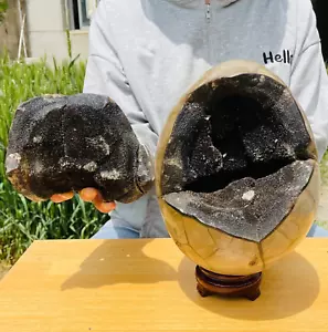 Coperchio settario drago naturale grande 19,20 libbre cristallo uovo geode esemplare - Foto 1 di 20