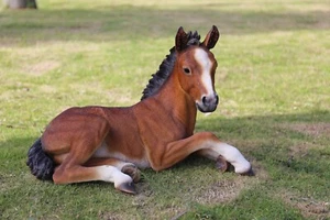 Horse Colt Lying Down Garden Statue Medium/Large Garden Decor, Home/Farm Decor - Picture 1 of 7