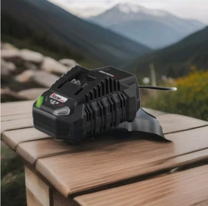 Caricabatteria 4,5ah PARKSIDE da 20 V PLG 20 C3 4,5 A nero solo caricatore - Foto 1 di 2