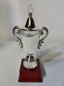 Copa de premio de lujo profesional trofeo de golf de cristal de 9 - Imagen 1 de 6