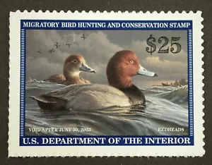 RW89 Federal Duck Hunting Stamps MNH OG Migratory Bird Hunting Stamp 2022 - Picture 1 of 2