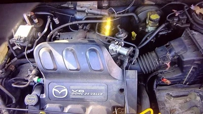 Radiator Fan Motor Fan 6 Cylinder Fits 01-04 MAZDA TRIBUTE 6317267 - Изображение 1 из 4