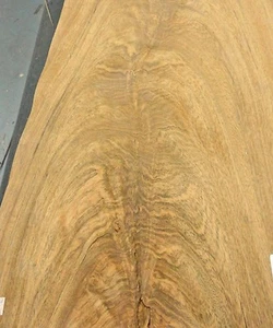 Cereijera Schritt Holzfurnier 16" x 18" roh ohne Unterlage 1/32" Dicke A - Bild 1 von 3