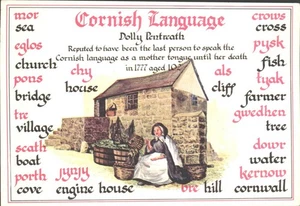 LENGUA CORNUALLES, Cornualles - POSTAL de colección - Imagen 1 de 2