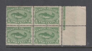 Newfoundland #46 COD (Mint Hinged - DOG) cat $300.00 - Picture 1 of 2