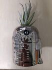 Dunelm Artificial Realistic Fake Succulent Plant in Star Wars Pot