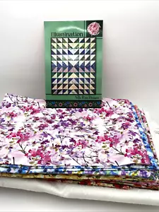 Villa Rosa Designs Illumination Quilt Kit NEW - Picture 1 of 5
