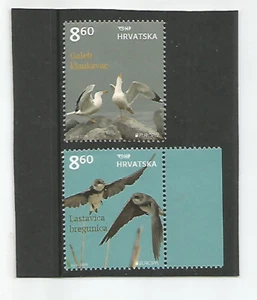 Croacia Europa 2019 especies de aves autóctonas nuevas - Imagen 1 de 1