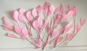 Bundle 40pcs Baby Pink Goose Feathers Soft Craft Feathers for Hat Millinery - Picture 1 of 7