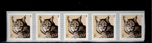 US Scott #4672A, Plate #P1111 Coil of 5 2012 Bobcat 1c VF MNH - Picture 1 of 1