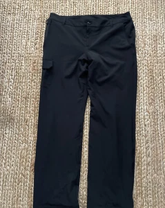 NWT Eddie Bauer Womens 14 black lined hiking pants winter soft fleece lining - Picture 1 of 11