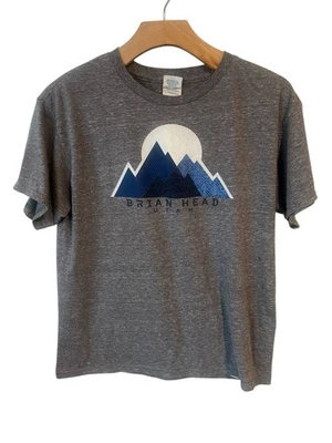 Camiseta de esquí Brian Head Utah juvenil talla L gris gráficos de montaña manga corta Foto 1 de 4