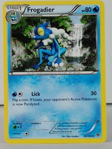 Frogadier - Pokemon - XY Base 40/146 - Non Holo - NM -A - Bild 1 von 5