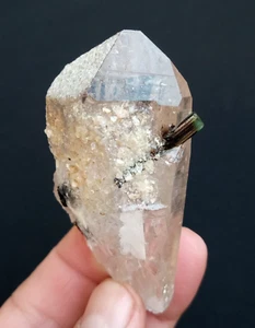 Elbaite Tourmaline With Quartz From Staknala,Gilgit,Pakistan. - Bild 1 von 10