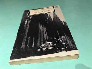 The Great Gatsby F. Scott Fitzgerald book - Picture 1 of 3