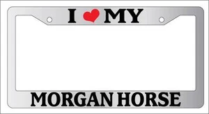 Chrome License Plate Frame I Heart My Morgan Horse Auto Accessory 579 - Picture 1 of 1
