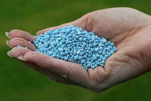 Slow release fertiliser. Lawn Fertilizer. Balanced. 12:5:14 N:P:K. - Picture 1 of 2