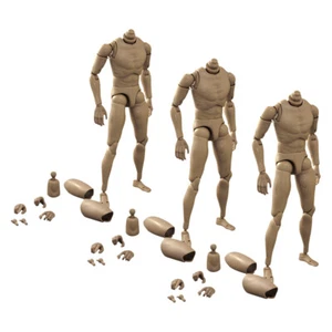 3Pcs Narrow Shoulder 1:6 Action Figure Male Rude Body Toys for TTM18 TTM19 - Picture 1 of 7