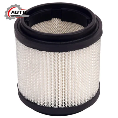 For Polaris 250 Trail Boss Blazer Xplorer 300 Big Boss Xplorer Xpress Air Filter - Изображение 1 из 4