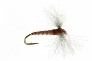 Fly Fishing Flies (Bass, Trout, Salmon, Sunfish) Rusty Spinner (6 flies) - Picture 1 of 2