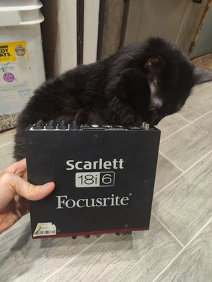 Monitor profesional Focusrite Scarlett 18i6 ID de prueba: 1002346 Foto 1 de 4