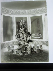 NEGATIVO IN VETRO FINE 1800 O PRIMI 1900, INTERNO-2 - Foto 1 di 1