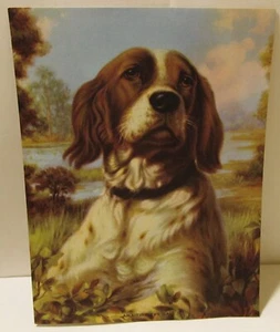 G.B. Fox - Cane pronto per l'azione Springer Spaniel anni '40 stampa - Foto 1 di 2