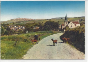 CP 18 - Cher - Chavignol-en-Sancerrois - "Les Chieuves" - Picture 1 of 2