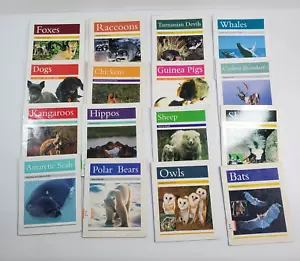 Lot of 16 Rigby PM Animal Facts Books Readers Early Learning Homeschool - Picture 1 of 10
