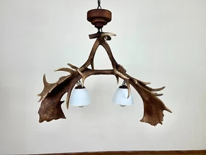 Real Antler Chandelier 3 light bulbs - Picture 1 of 7