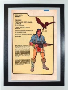 Spirit Freedom G.I.Joe Order of Battle Filecard -Framed Original Comic Book Page - Picture 1 of 7
