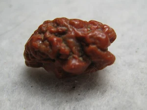 Red Nugget Chalcedony Quartz Rare Stone Specimen Kansas  Grams - Picture 1 of 19