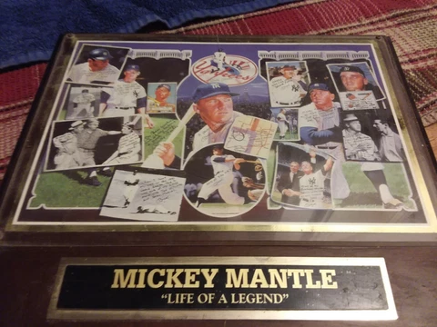 Yankees1995 Mickey Mantle Life Of A Legend Sports Impressions Collectors Plaque Cover
